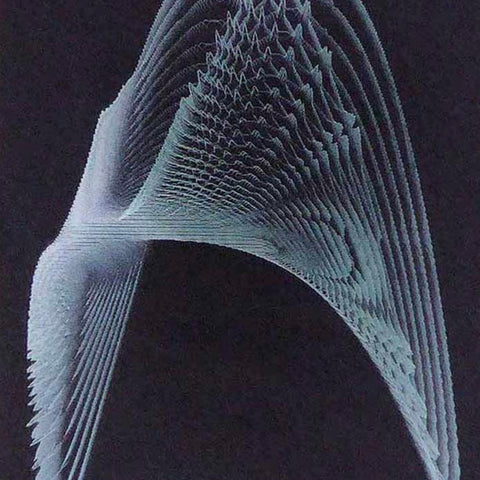 * ARC 454 - SILKSCREEN PRINT - SPECIAL OFFER